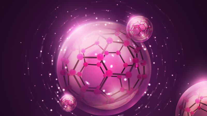 揭秘上海生物医药研发外包公司：研发之路上的得力伙伴