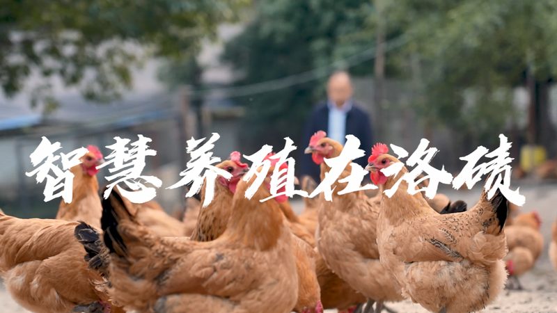 CDMO定制合成方法：揭秘药物研发的“幕后功臣