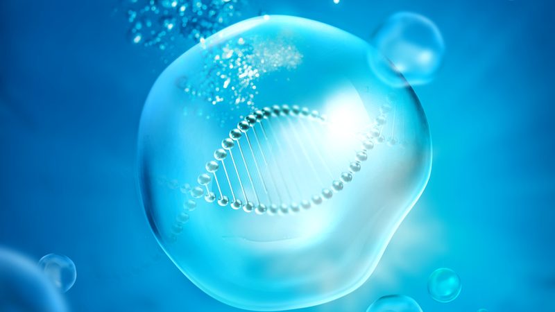 抗体CDMO工艺流程：揭秘生物制药的“幕后英雄
