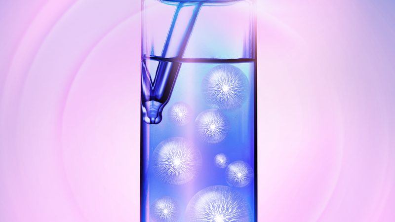 酶价格走势图：解码生物科技行业的价格密码**
