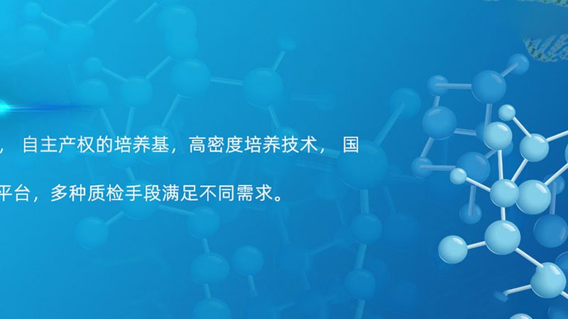 靶向药基因检测，揭秘其背后的时间奥秘