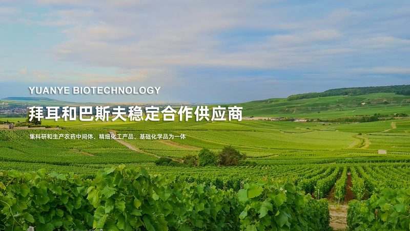 引物合成质量对比方法