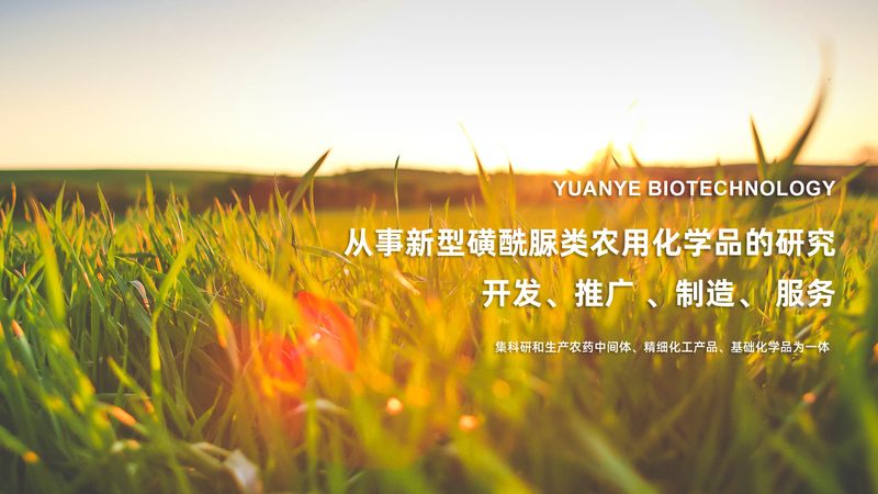 运动基因检测报告，如何解读你的运动天赋？**