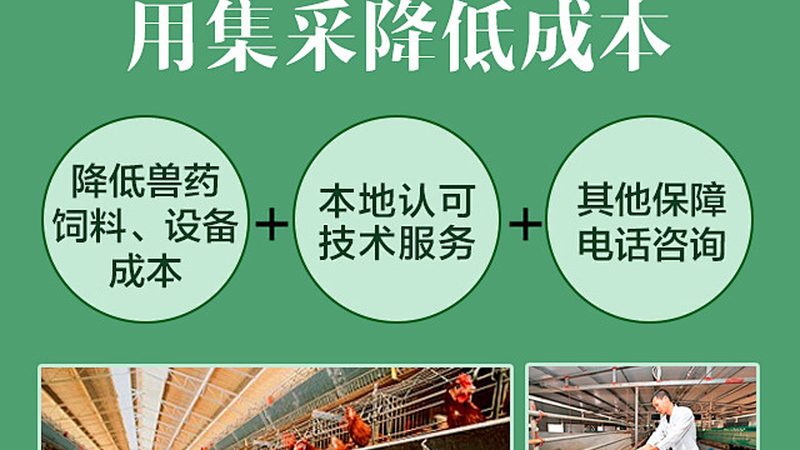 酶制剂规格参数，这些关键点你get了吗？**