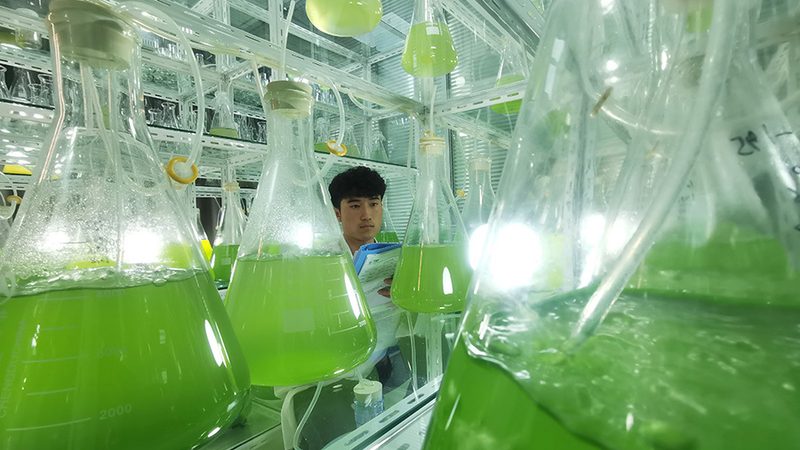 实验室耗材参数背后的科学考量**